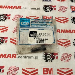 Hatz varžtas m 8x 25x25 50052100