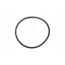 Sankabos stūmoklio sandariklis yra Dana Spicer 244841