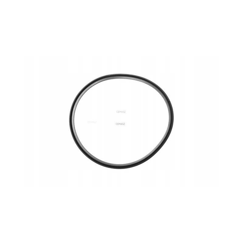 Sankabos stūmoklio sandariklis yra Dana Spicer 244841