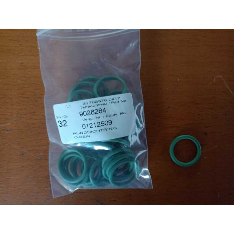 Deutz purkštuko sandarinimo žiedas 01212509