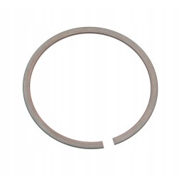 Žiedinis katinas 1333715