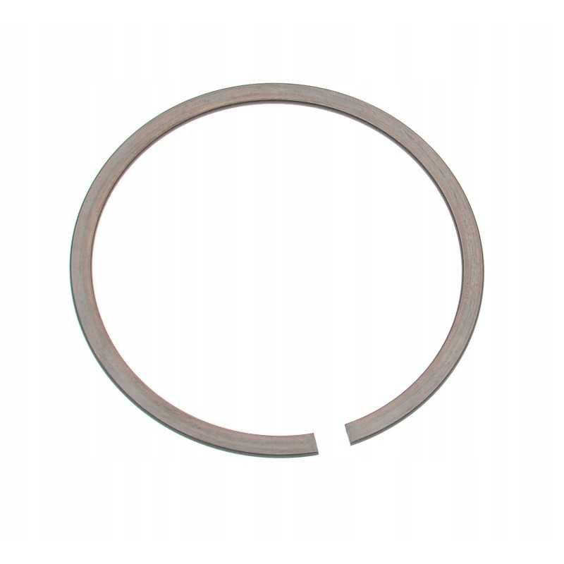 Žiedinis katinas 1333715