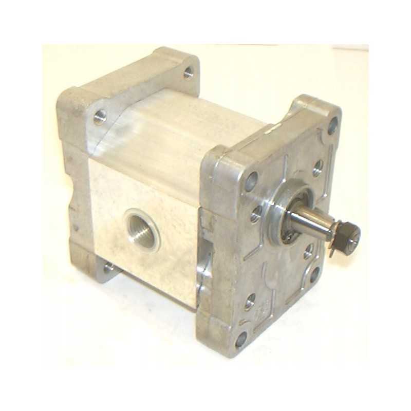 Snp1 4 3d co41 f hidraulinės pavaros siurblys