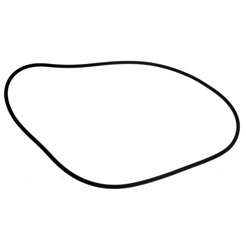 Palydovo korpuso sandarinimo žiedas