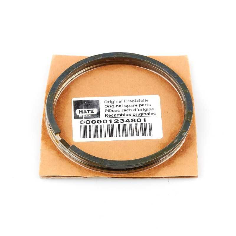 Hatz e786 stūmoklių žiedai 0 50 01234801