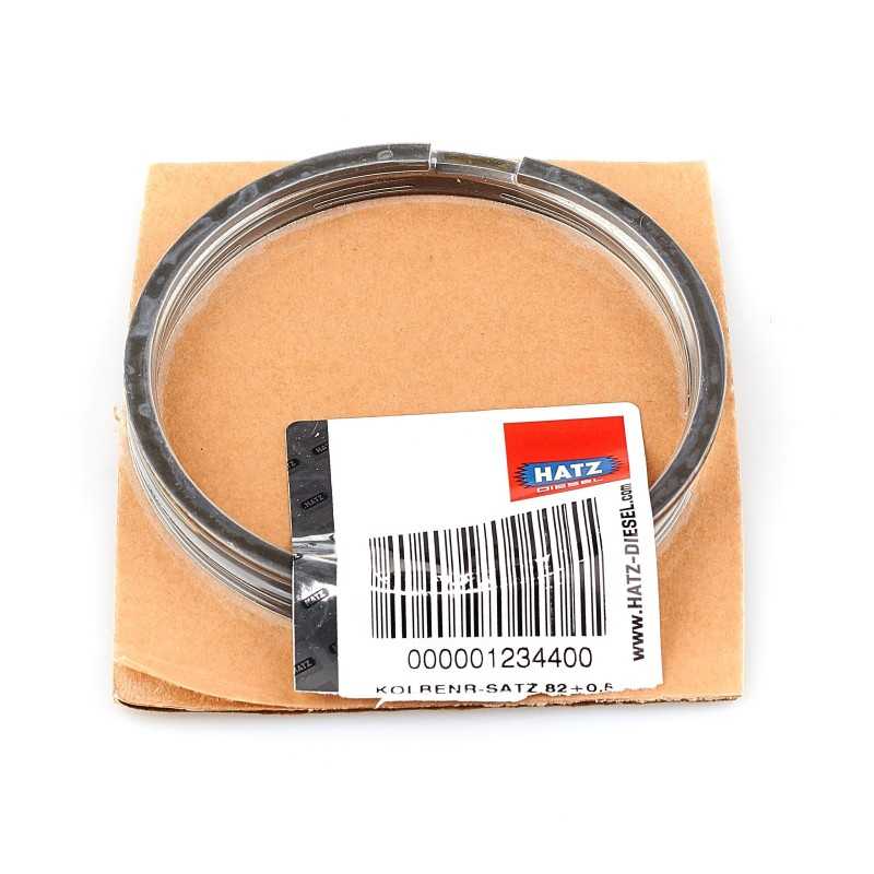 Hatz e79 stūmoklių žiedai 0 50 01234400