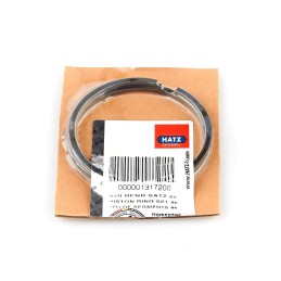 Hatz 1b20 stūmoklių žiedai std 1 75 01317200