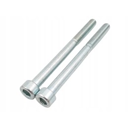 Walbro BS karbiuratoriaus remonto komplektas 5000172310 0172310