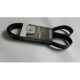 Dayco 8pk1440hd kelių trapecinis diržas