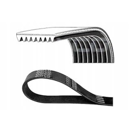 Dayco 8pk1440hd kelių trapecinis diržas