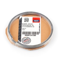 Hatz 1d81 stūmoklio žiedai std 4mm 01247300