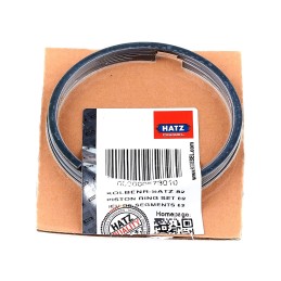 Hatz e79 stūmoklių žiedai std 00573010