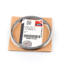 Hatz 1d41 1d42 stūmoklių žiedai std 01312501