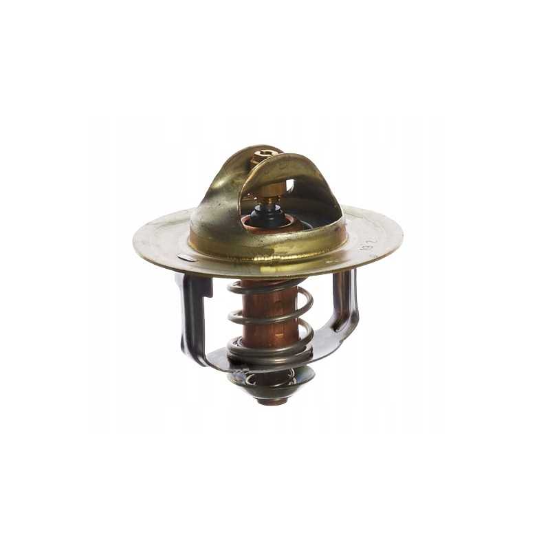 Termostatas isuzu 4bg1 6bd1 6bg1