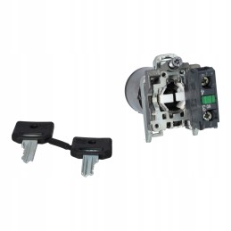 2 padėčių sukamasis raktinis jungiklis