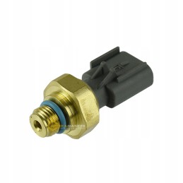 Išmetamųjų dujų slėgio jutiklis, pvz., cummins 4928594