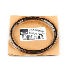 Hatz 1b50 stūmoklių žiedai 01384410