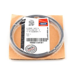 Hatz 2g40 stūmoklių žiedai std 01240301