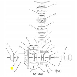 Ruonių kovos atakos katės oem