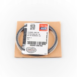 Hatz 1b30 stūmoklių žiedai 01390700