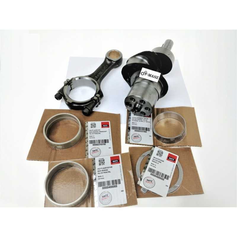 Hatz 1d81 veleno remonto komplektas 01512010