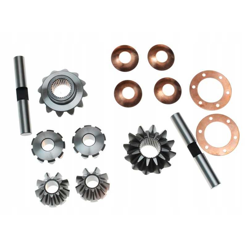 Diferencialo remonto komplektas