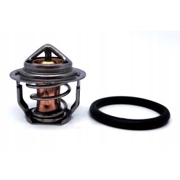 Carrier ct variklio vandens termostatas 3 69 4 91 4 134