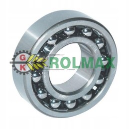 Savaime išsilyginantis rutulinis guolis ina fag 1305tvh