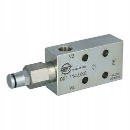 Atbulinis vožtuvas Luen wb cc se b04 fc2 38 m8