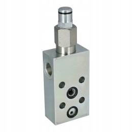 Atbulinis vožtuvas Luen wb cc se b04 fc2 38 m8