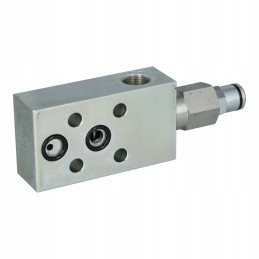 Atbulinis vožtuvas Luen wb cc se b04 fc2 38 m8