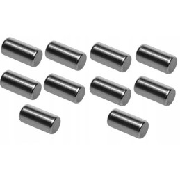 Palydoviniai galutinės pavaros volai, 10 vnt.Terex Fermec