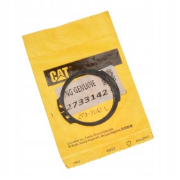 Originalus seger žiedas