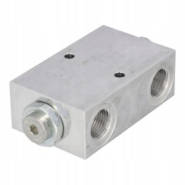 Dvigubas atbulinis vožtuvas be reguliavimo 1 2 bsp 35 lm 260 barų