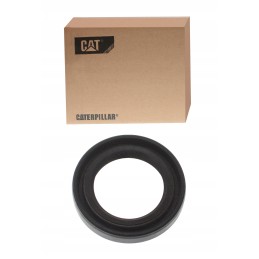 Originalus katės antspaudas 1376826