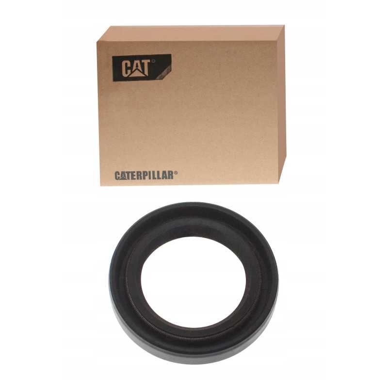 Originalus katės antspaudas 1376826