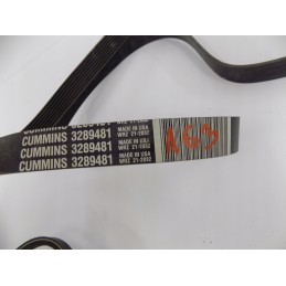 Cummins daugiabriaunis diržas 3289481 8pk1840