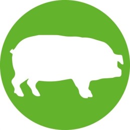 Vienkartinis švirkštas hsw norm ject 2ml 3ml pakuotė