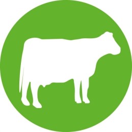 Vienkartinis švirkštas hsw norm ject 2ml 3ml pakuotė