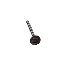 Wacker wm170 ex17 įsiurbimo vožtuvas 0156479