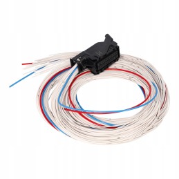 IQAN laidas laisvais galais