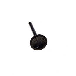 Wacker wm100 eh10 įsiurbimo vožtuvas 0217797