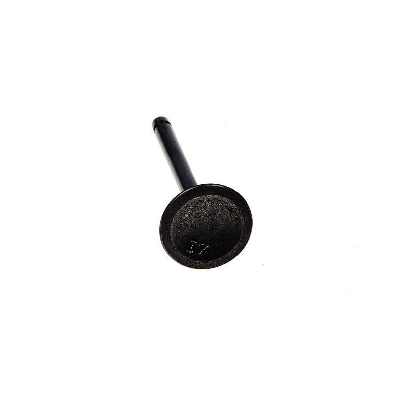 Wacker wm100 eh10 įsiurbimo vožtuvas 0217797
