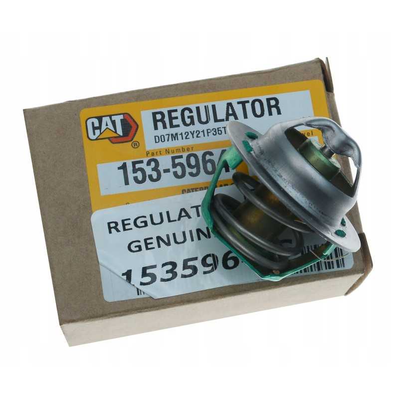 Originalus katės termostatas