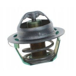 Originalus katės termostatas