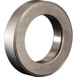 Sankabos guolis nwb6013f204a