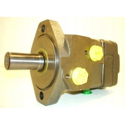 Hidraulinis variklis wwr160a6312b