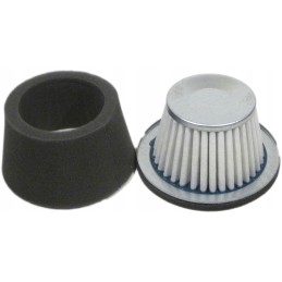 Oro filtras robin subaru w1i 185 ey20 eh17
