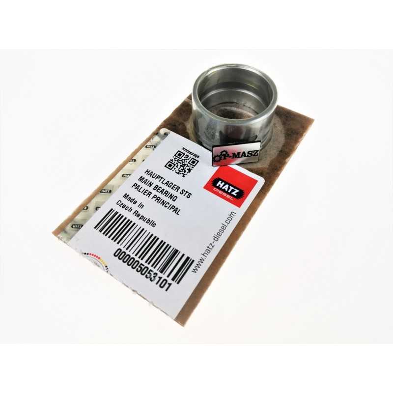 Hatz 1b20 1b30 pagrindinio veleno guolis std 05053101