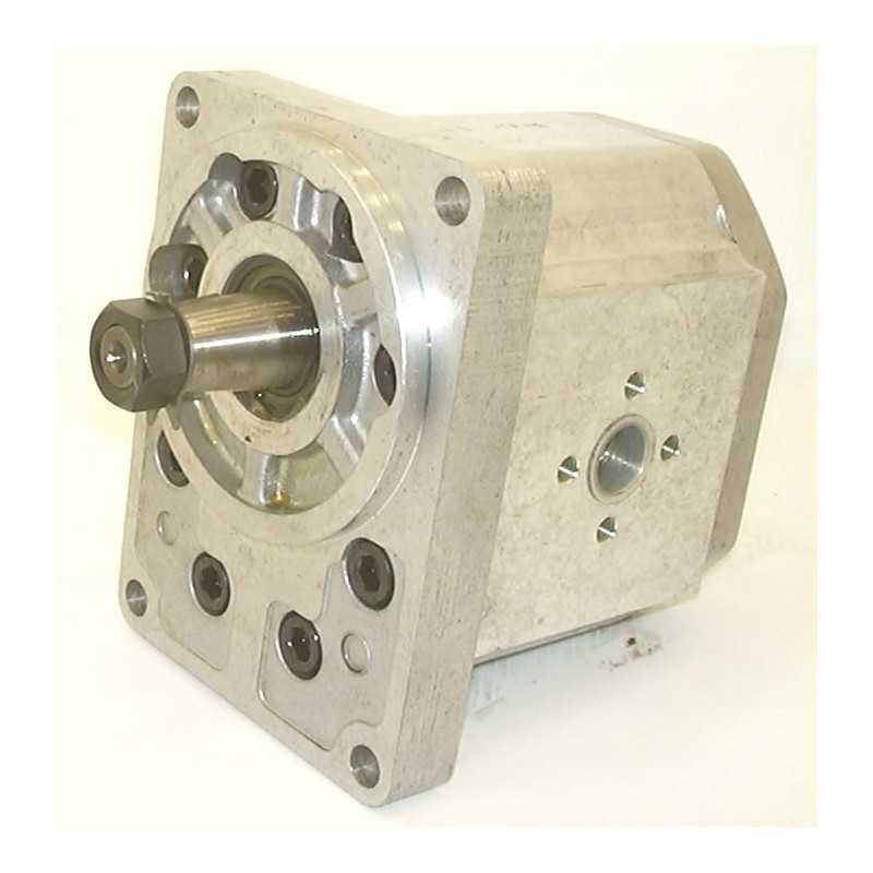 Snp3 c33l kbsb hidraulinis krumpliaratinis siurblys